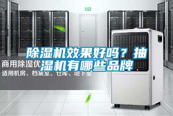 除濕機效果好嗎？抽濕機有哪些品牌