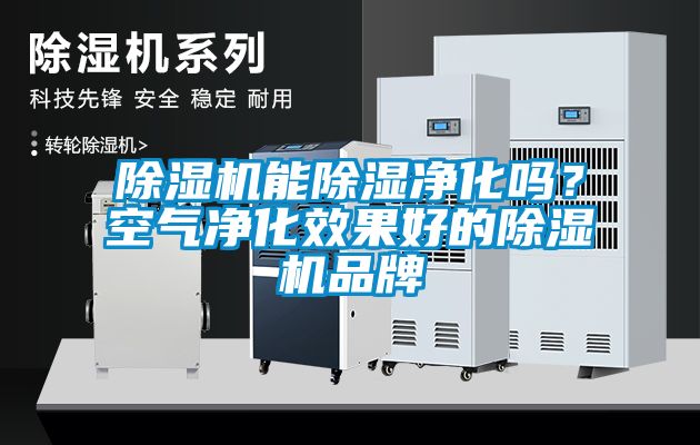 除濕機能除濕凈化嗎？空氣凈化效果好的除濕機品牌