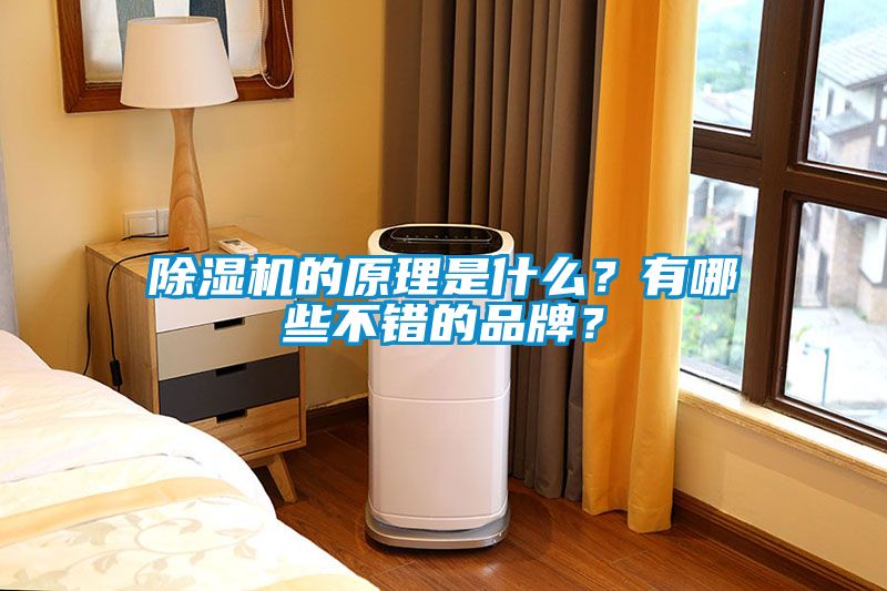 除濕機的原理是什么？有哪些不錯的品牌？