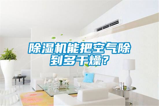 除濕機能把空氣除到多干燥？