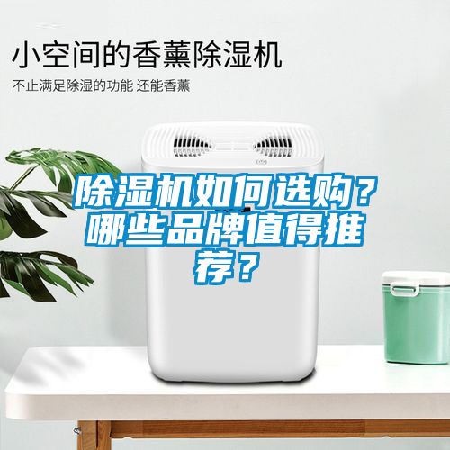 除濕機如何選購？哪些品牌值得推薦？
