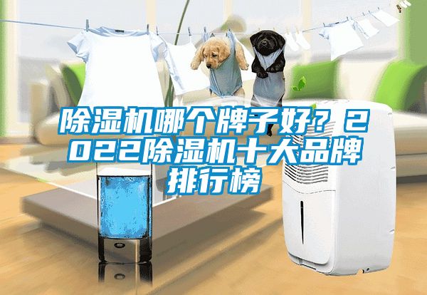 除濕機哪個牌子好？2022除濕機十大品牌排行榜