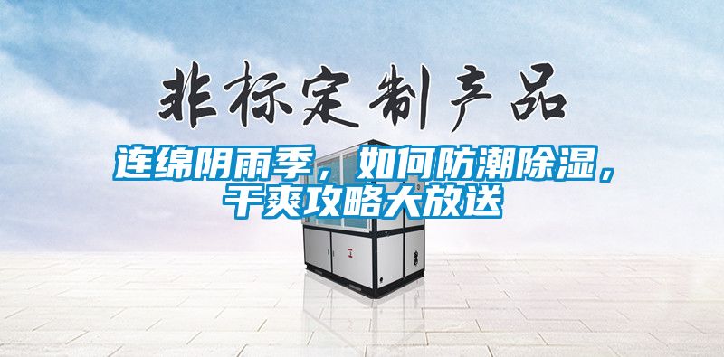 連綿陰雨季，如何防潮除濕，干爽攻略大放送