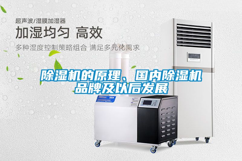 除濕機的原理、國內除濕機品牌及以后發展