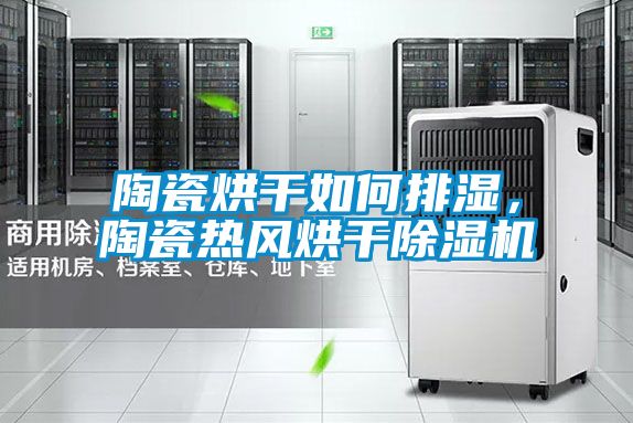 陶瓷烘干如何排濕，陶瓷熱風烘干除濕機