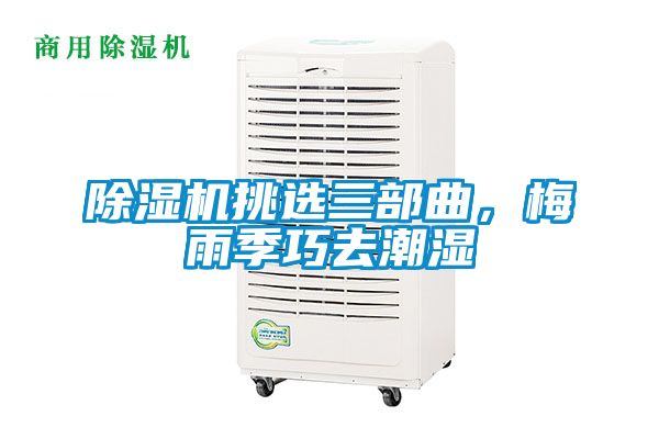 除濕機挑選三部曲，梅雨季巧去潮濕
