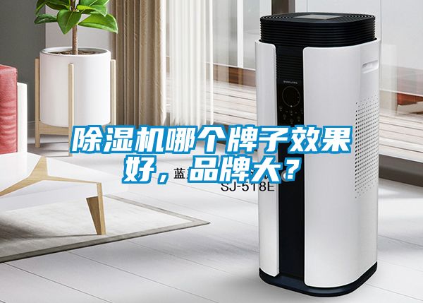 除濕機哪個牌子效果好，品牌大？