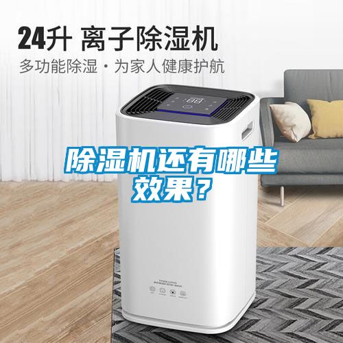 除濕機還有哪些效果？