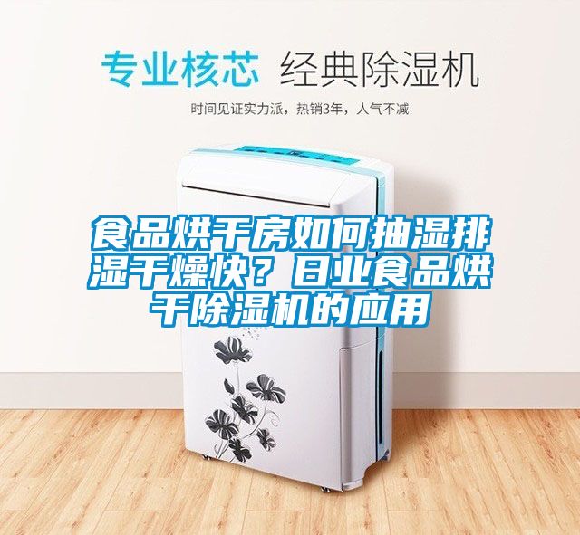 食品烘干房如何抽濕排濕干燥快？日業食品烘干除濕機的應用