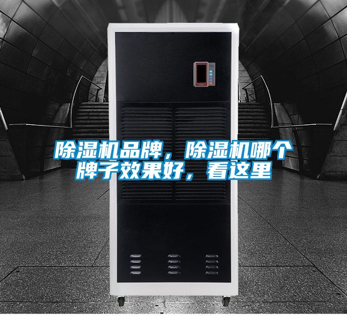 除濕機品牌，除濕機哪個牌子效果好，看這里