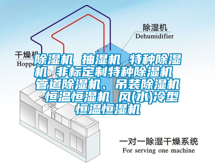 除濕機 抽濕機 特種除濕機 非標定制特種除濕機 管道除濕機、吊裝除濕機 恒溫恒濕機 風(水)冷型恒溫恒濕機
