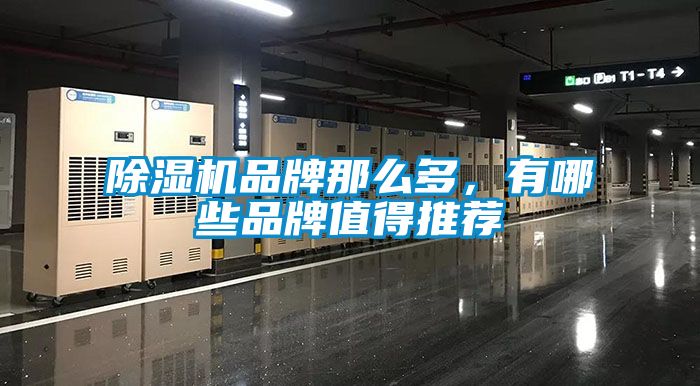 除濕機品牌那么多，有哪些品牌值得推薦
