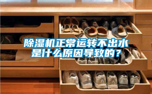 除濕機正常運轉不出水是什么原因導致的？