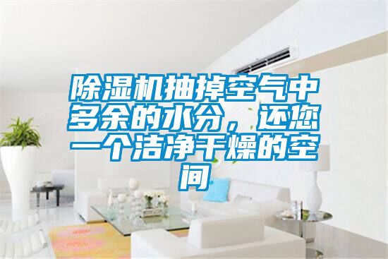 除濕機抽掉空氣中多余的水分，還您一個潔凈干燥的空間