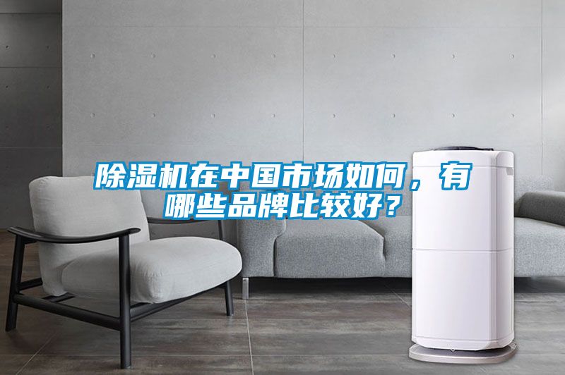 除濕機在中國市場如何，有哪些品牌比較好？