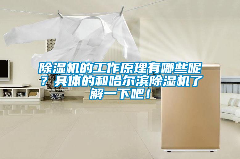 除濕機的工作原理有哪些呢？具體的和哈爾濱除濕機了解一下吧！