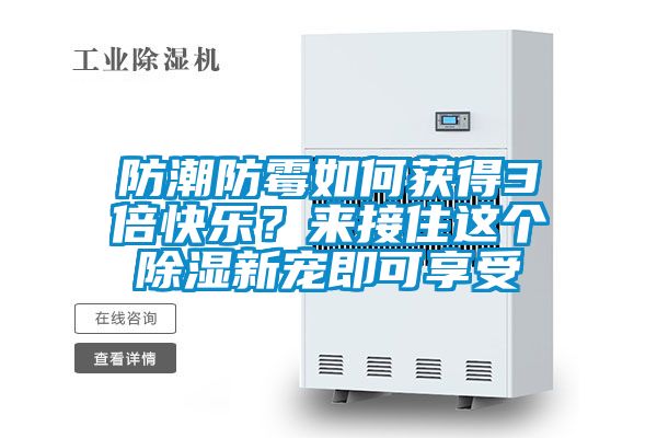 防潮防霉如何獲得3倍快樂？來接住這個除濕新寵即可享受