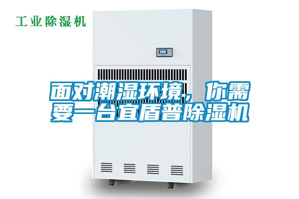 面對潮濕環境，你需要一臺宜盾普除濕機