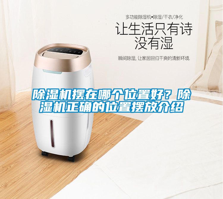 除濕機擺在哪個位置好？除濕機正確的位置擺放介紹