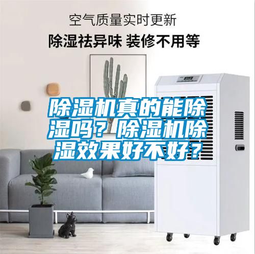 除濕機真的能除濕嗎？除濕機除濕效果好不好？