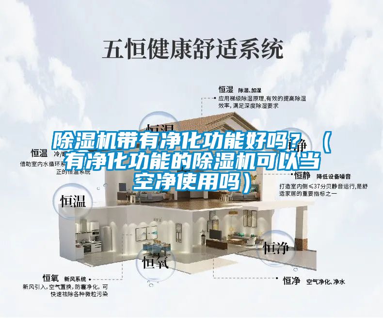除濕機帶有凈化功能好嗎？（有凈化功能的除濕機可以當空凈使用嗎）