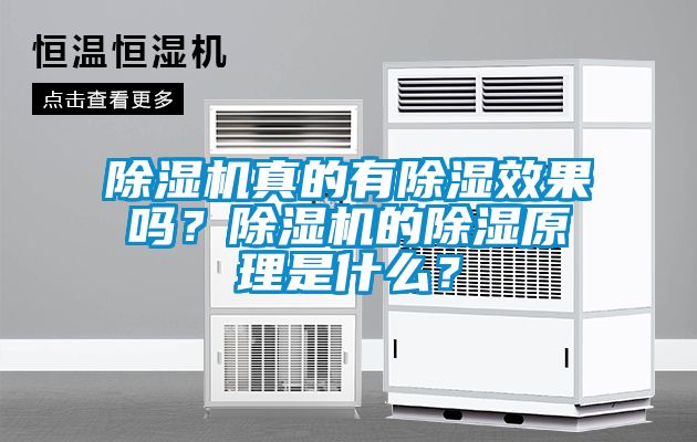 除濕機真的有除濕效果嗎？除濕機的除濕原理是什么？