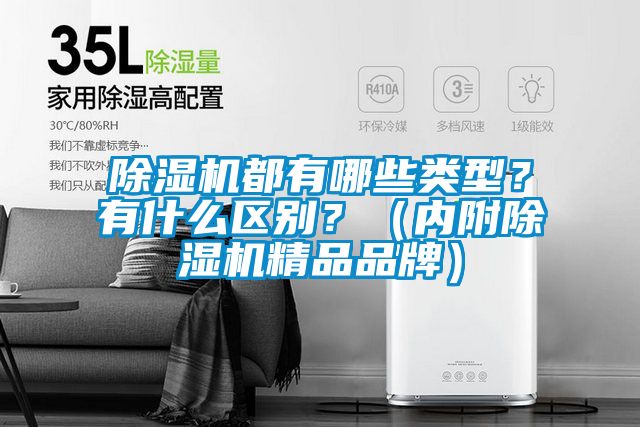 除濕機都有哪些類型？有什么區別？（內附除濕機精品品牌）