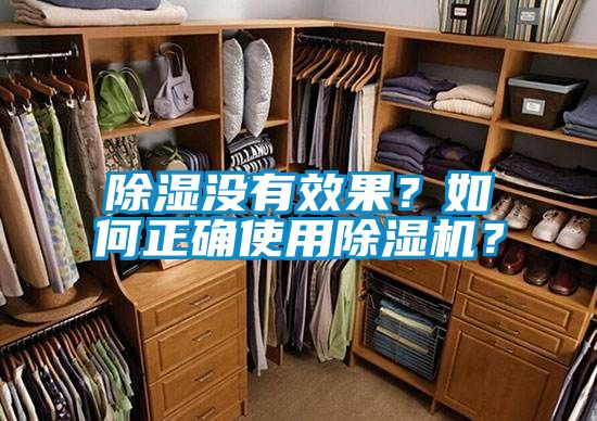 除濕沒有效果？如何正確使用除濕機？