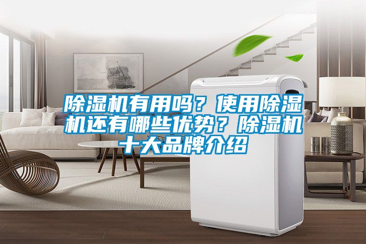 除濕機有用嗎？使用除濕機還有哪些優勢？除濕機十大品牌介紹