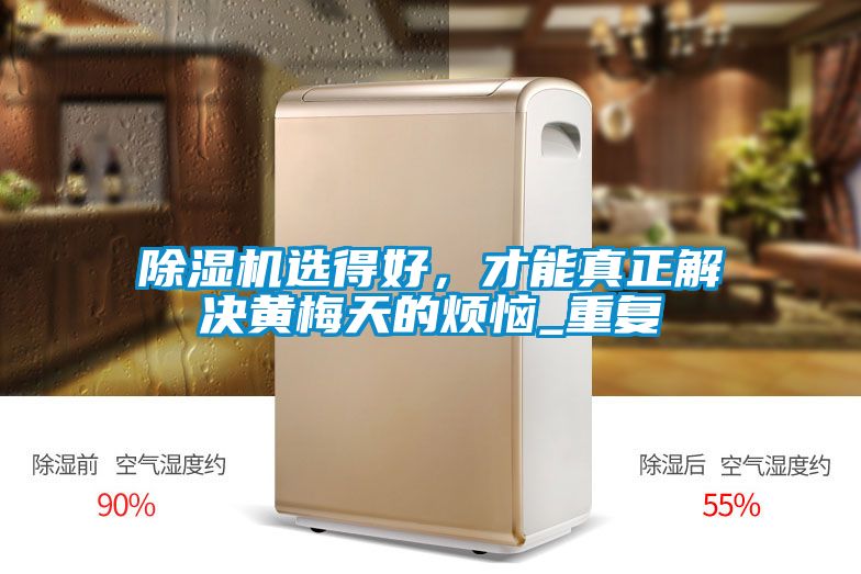 除濕機選得好，才能真正解決黃梅天的煩惱_重復
