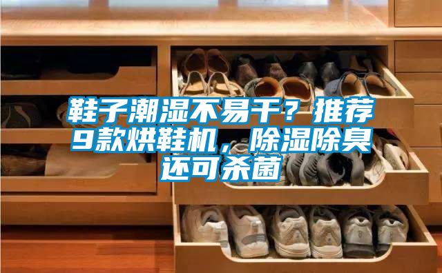 鞋子潮濕不易干？推薦9款烘鞋機，除濕除臭還可殺菌