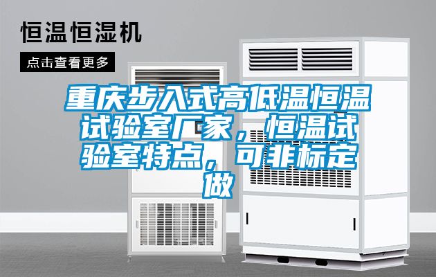 重慶步入式高低溫恒溫試驗室廠家，恒溫試驗室特點，可非標定做