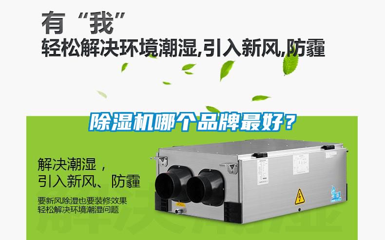 除濕機哪個品牌最好？