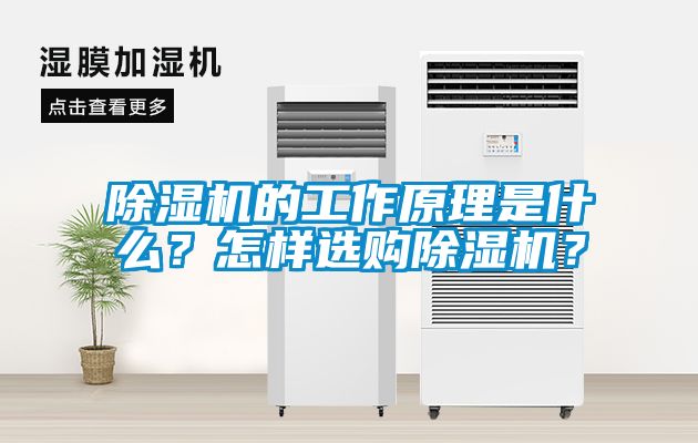 除濕機的工作原理是什么？怎樣選購除濕機？