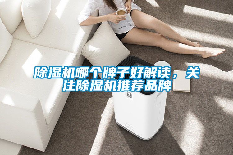 除濕機哪個牌子好解讀，關注除濕機推薦品牌