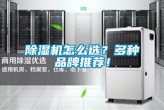 除濕機怎么選？多種品牌推薦！