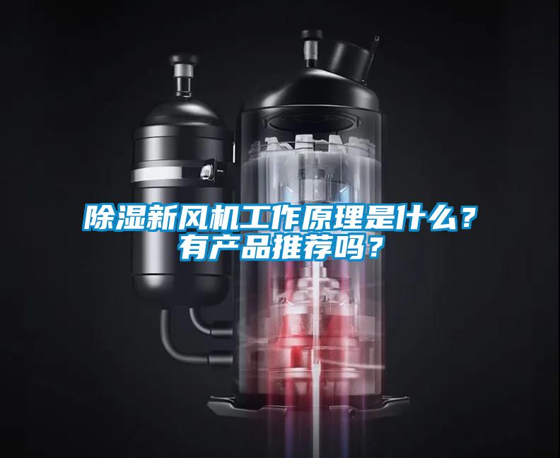 除濕新風機工作原理是什么？有產品推薦嗎？
