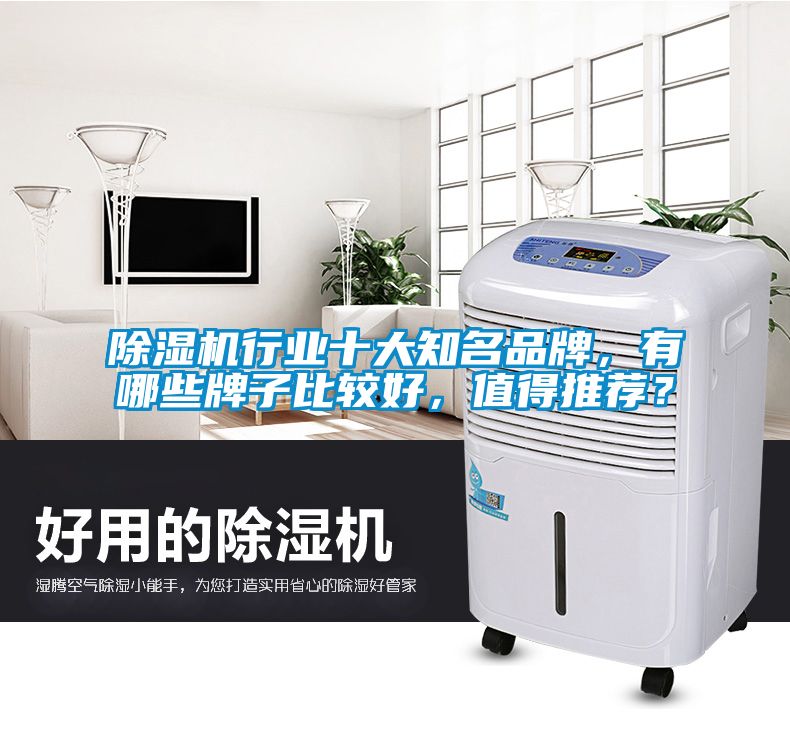 除濕機行業十大知名品牌，有哪些牌子比較好，值得推薦？