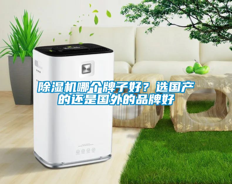 除濕機哪個牌子好？選國產的還是國外的品牌好
