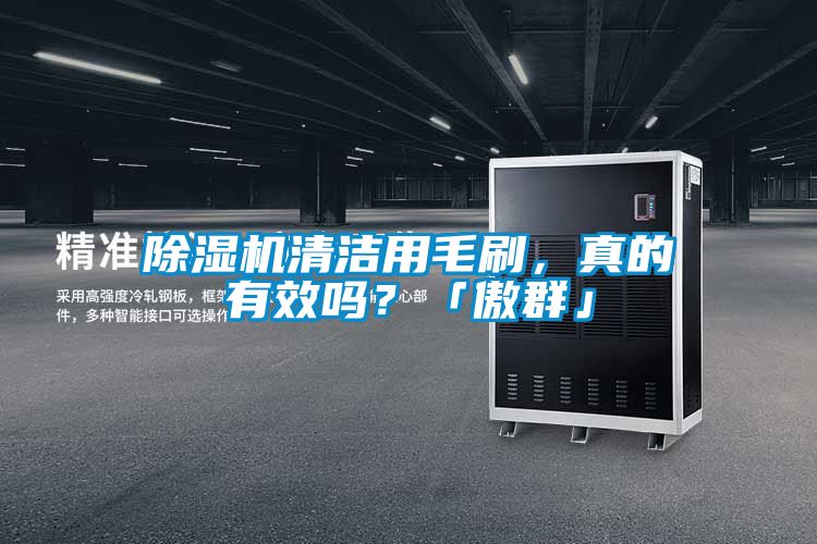 除濕機清潔用毛刷，真的有效嗎？「傲群」