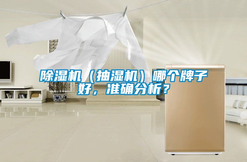 除濕機（抽濕機）哪個牌子好，準確分析？