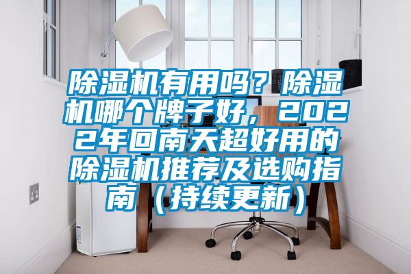 除濕機有用嗎？除濕機哪個牌子好，2022年回南天超好用的除濕機推薦及選購指南（持續更新）