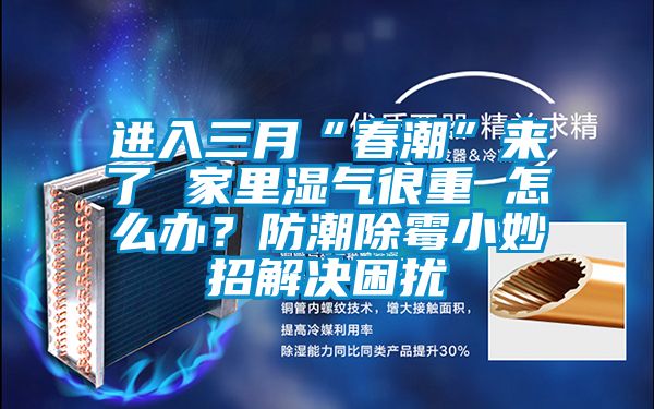 進入三月“春潮”來了 家里濕氣很重 怎么辦？防潮除霉小妙招解決困擾