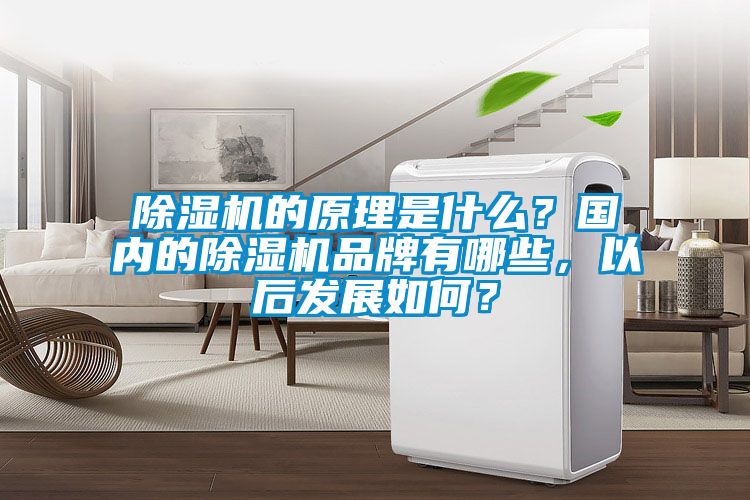 除濕機的原理是什么？國內的除濕機品牌有哪些，以后發展如何？