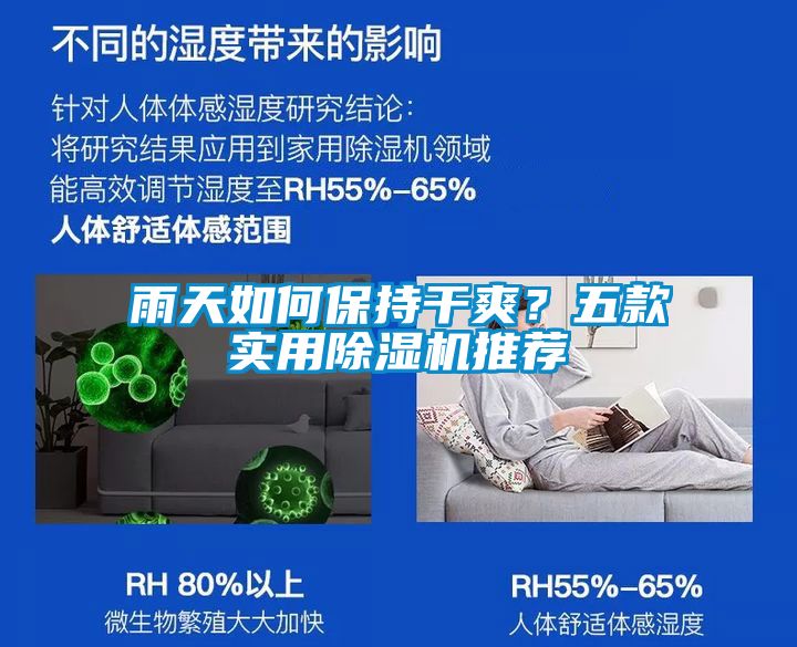 雨天如何保持干爽？五款實用除濕機推薦