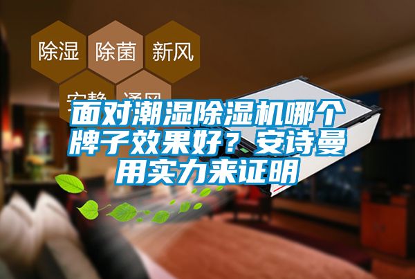 面對潮濕除濕機哪個牌子效果好？安詩曼用實力來證明