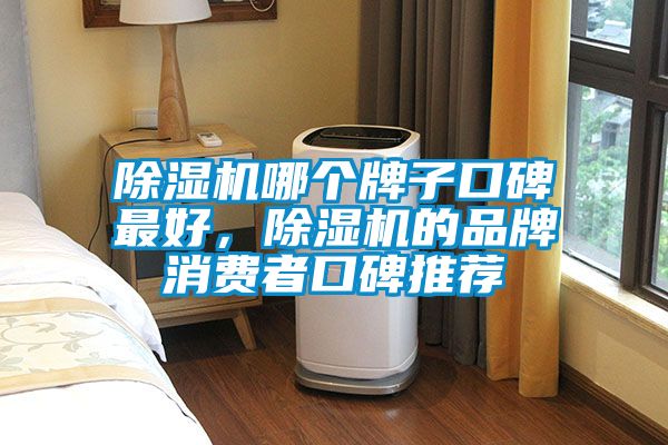 除濕機哪個牌子口碑最好，除濕機的品牌消費者口碑推薦