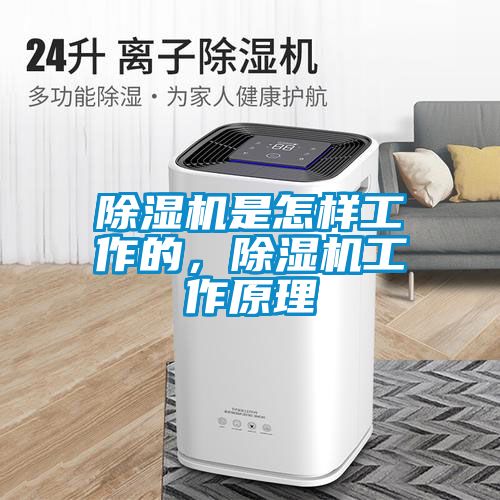除濕機是怎樣工作的，除濕機工作原理
