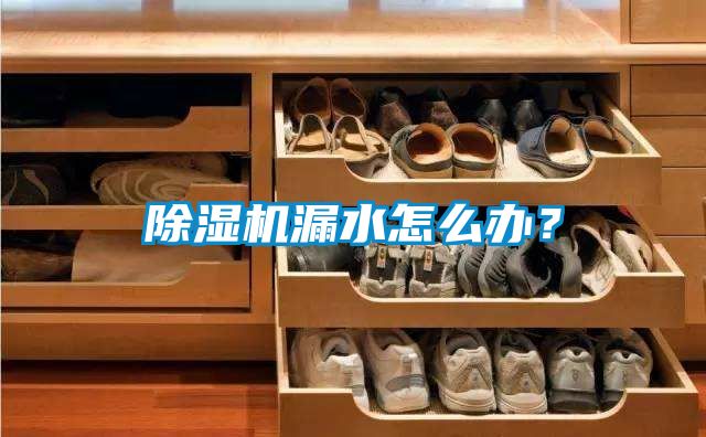 除濕機漏水怎么辦？