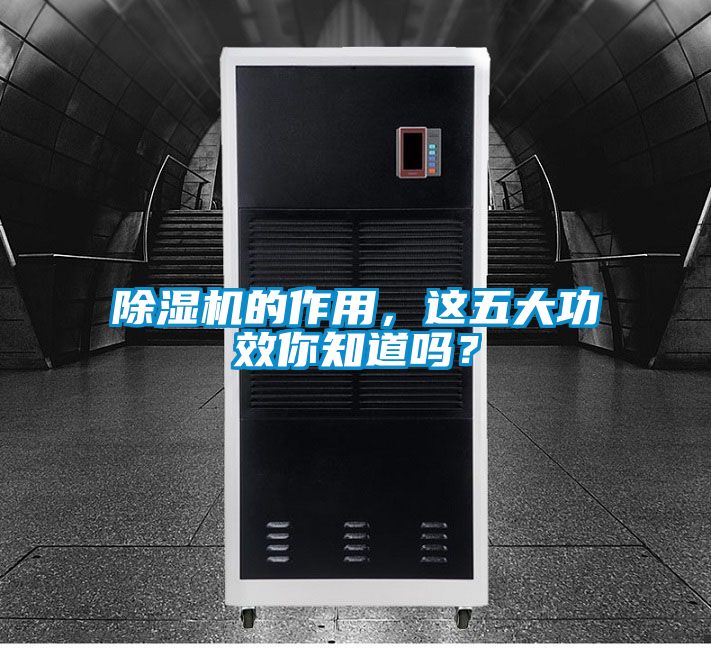 除濕機的作用，這五大功效你知道嗎？